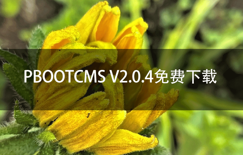 PbootCMS V2.0.4免费下载