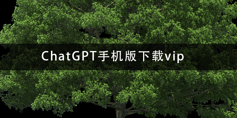 ChatGPT手机版下载vip.png
