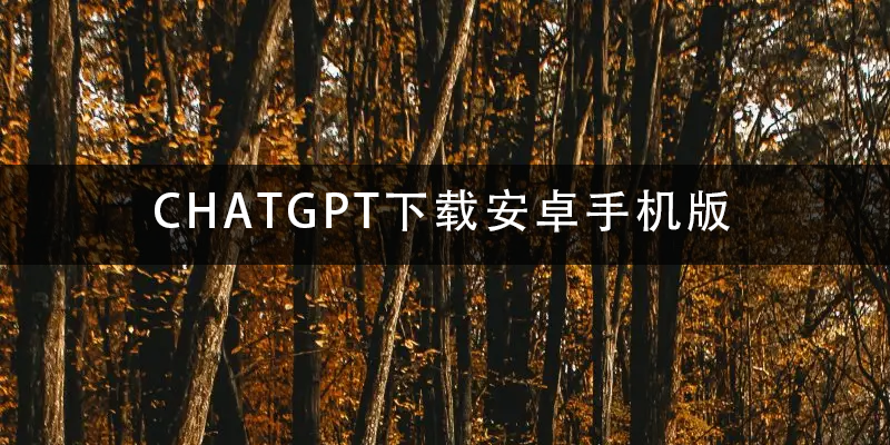 CHATGPT下载安卓手机版.png