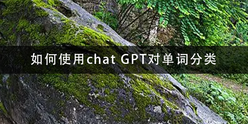 如何使用chat-GPT对单词分类.png