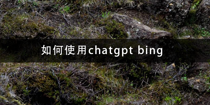 如何使用chatgpt-bing.png