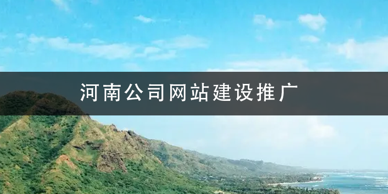 河南公司网站建设推广.png