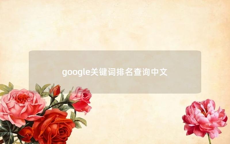google关键词排名查询中文