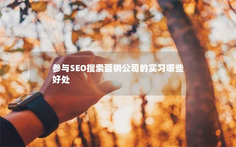 参与SEO搜索营销公司的实习哪些好处