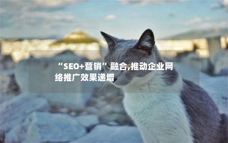 “SEO+营销”融合,推动企业网络推广效果递增